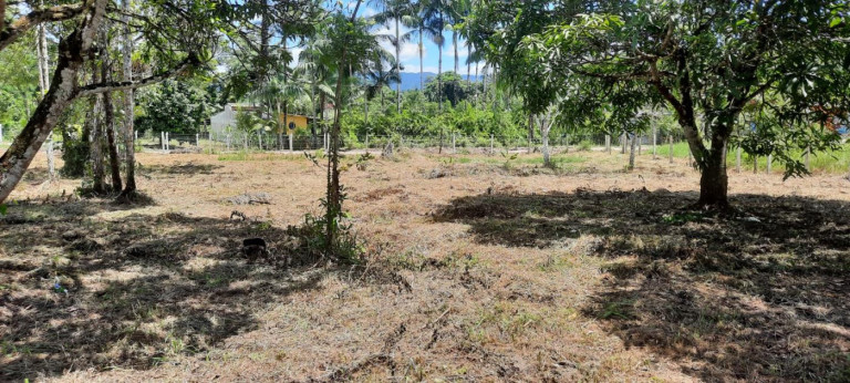 Imagem Imóvel com 2 Quartos à Venda, 3.500 m² em Gaivota (interior) - Itanhaém