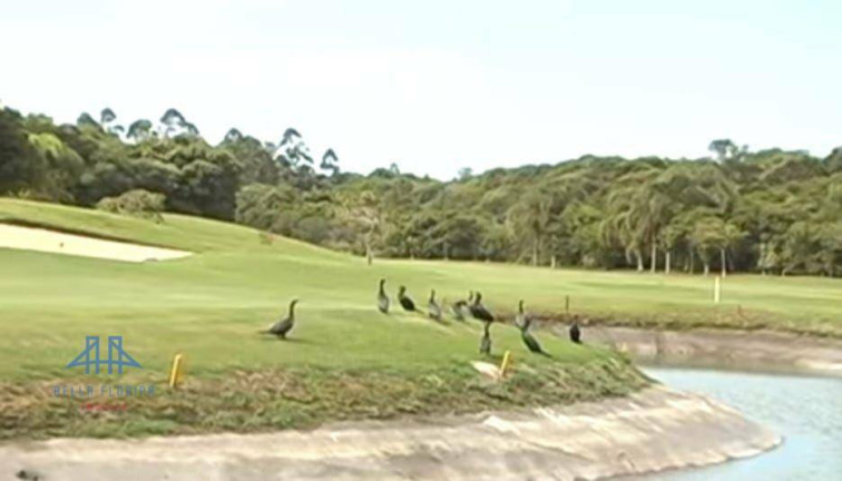 Imagem Terreno à Venda, 911 m² em Ingleses Do Rio Vermelho - Florianópolis Imagem Terreno à Venda, 911 m² em Ingleses Do Rio Vermelho - Florianópolis