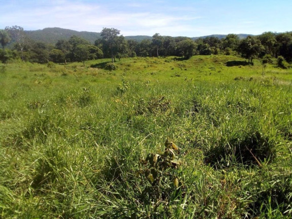 Imagem Fazenda à Venda, 200 m² em Centro - Acorizal Imagem Fazenda à Venda, 200 m² em Centro - Acorizal