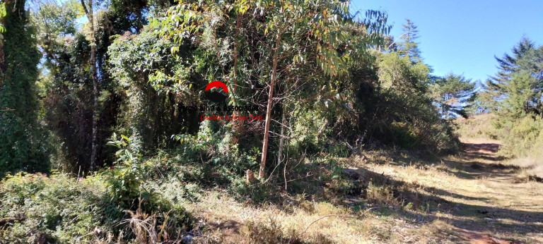 Imagem Terreno à Venda, 2 m² em Vila Nova Capivari - Campos Do Jordão Imagem Terreno à Venda, 2 m² em Vila Nova Capivari - Campos Do Jordão