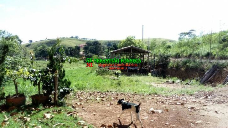 Imagem Chácara com 3 Quartos à Venda, 5.000 m² em Centro - Paraibuna Imagem Chácara com 3 Quartos à Venda, 5.000 m² em Centro - Paraibuna