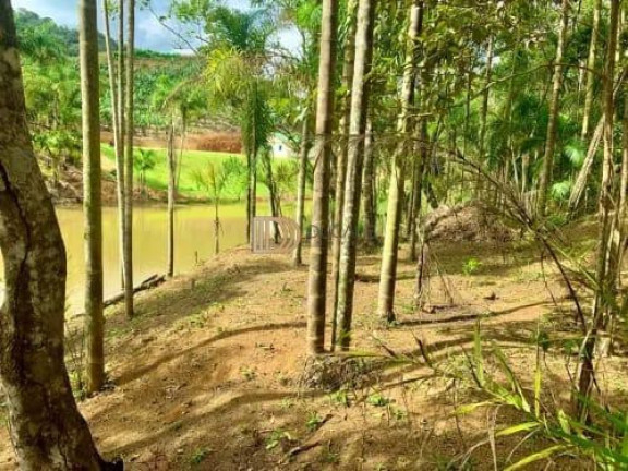 Imagem Imóvel com 3 Quartos à Venda, 220.000 m² em Centro - Santa Teresa Imagem Imóvel com 3 Quartos à Venda, 220.000 m² em Centro - Santa Teresa