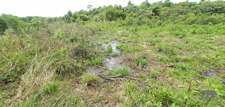 Imagem Terreno à Venda, 4.000 m² em Cidade Jardim - Esmeraldas