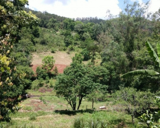 Imagem Imóvel com 4 Quartos à Venda, 88 m² em Vila Olinda - Nova Petrópolis Imagem Imóvel com 4 Quartos à Venda, 88 m² em Vila Olinda - Nova Petrópolis