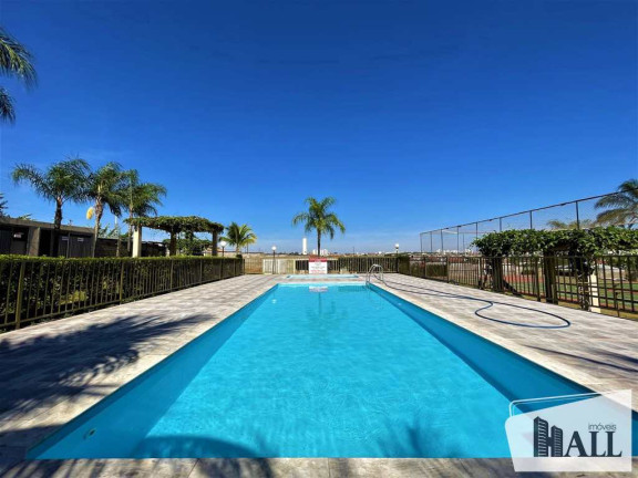 Imagem Apartamento com 2 Quartos à Venda, 50 m² em Jardim Yolanda - São José Do Rio Preto Imagem Apartamento com 2 Quartos à Venda, 50 m² em Jardim Yolanda - São José Do Rio Preto