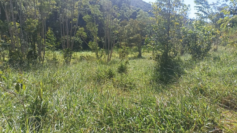 Imagem Chácara com 1 Quarto à Venda, 200 m² em Mirandão - Paraibuna Imagem Chácara com 1 Quarto à Venda, 200 m² em Mirandão - Paraibuna