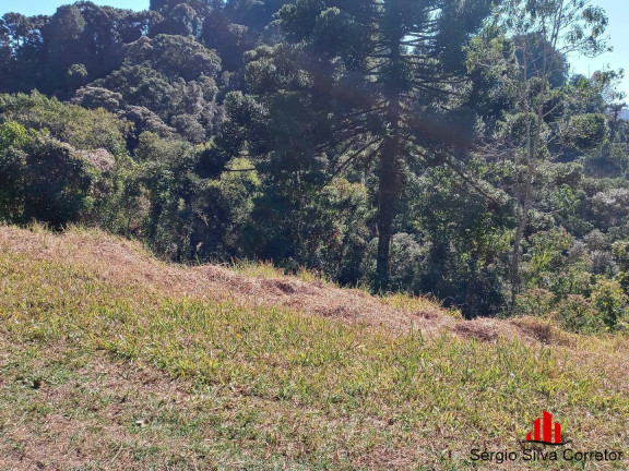 Imagem Imóvel Comercial à Venda, 5 m² em Vila Capivari - Campos Do Jordão Imagem Imóvel Comercial à Venda, 5 m² em Vila Capivari - Campos Do Jordão