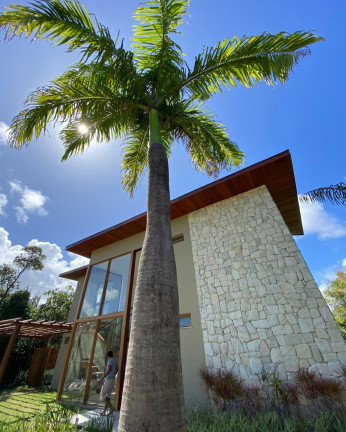 Imagem Casa com 4 Quartos à Venda, 400 m² em Praia Do Forte - Mata De São João Imagem Casa com 4 Quartos à Venda, 400 m² em Praia Do Forte - Mata De São João
