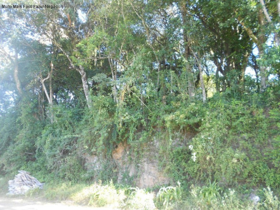 Terreno à Venda, 405 m² em Juriti - Nova Petrópolis