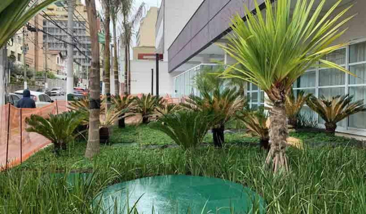 Imagem Apartamento com 2 Quartos à Venda, 70 m² em Liberdade - São Paulo Imagem Apartamento com 2 Quartos à Venda, 70 m² em Liberdade - São Paulo