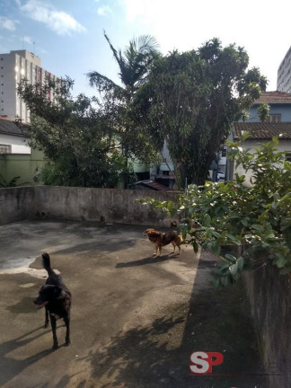 Imagem Casa com 2 Quartos à Venda, 120 m² em Ipiranga - São Paulo Imagem Casa com 2 Quartos à Venda, 120 m² em Ipiranga - São Paulo