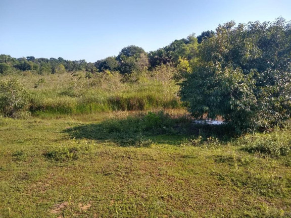 Imagem Imóvel à Venda, 874 m² em Palmeiras - Guaraparia Imagem Imóvel à Venda, 874 m² em Palmeiras - Guaraparia