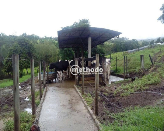 Imagem Fazenda à Venda, 11 m² em Jardim São Benedito - Alpinópolis Imagem Fazenda à Venda, 11 m² em Jardim São Benedito - Alpinópolis