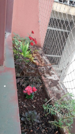 Imagem Apartamento com 2 Quartos à Venda, 71 m² em Jardim Paulista - Ribeirão Preto