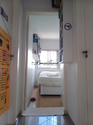 Imagem Apartamento com 2 Quartos à Venda, 65 m² em Vila Paulicéia - Sao Paulo Imagem Apartamento com 2 Quartos à Venda, 65 m² em Vila Paulicéia - Sao Paulo