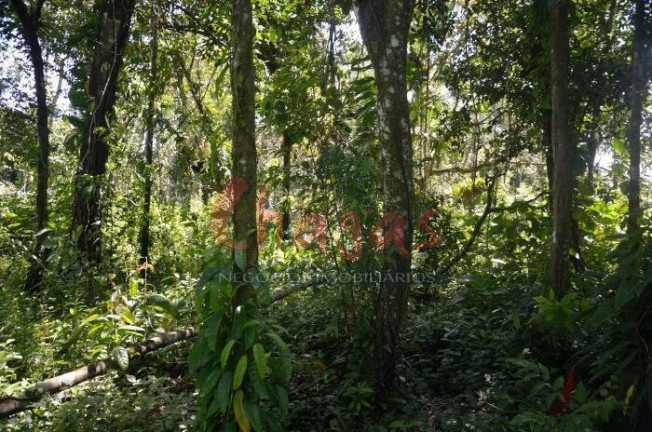 Imagem Terreno à Venda, 3.696 m² em Barranco Alto - Caraguatatuba