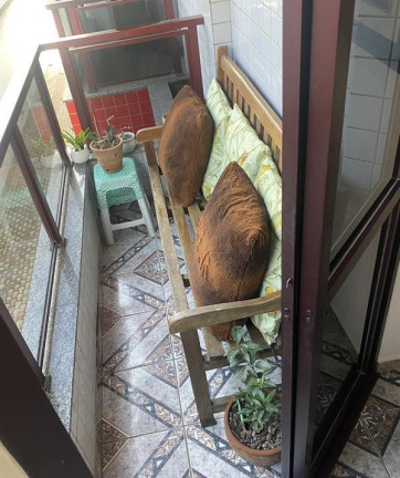 Imagem Apartamento com 3 Quartos à Venda, 90 m² em Jardim Enseada - Guarujá
