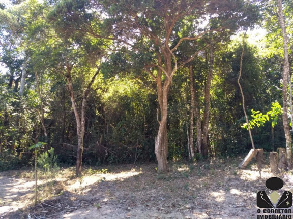 Imagem Imóvel com 3 Quartos à Venda, 65 m² em Arouca - Bonfim