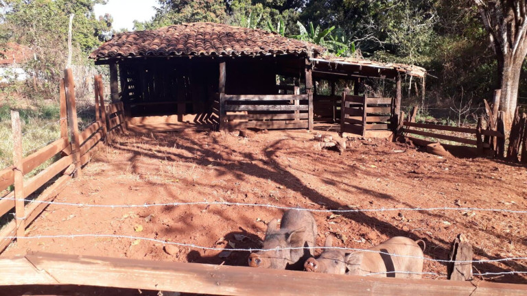 Imagem Fazenda à Venda, 314 m² em Zona Rural - Ituiutaba Imagem Fazenda à Venda, 314 m² em Zona Rural - Ituiutaba
