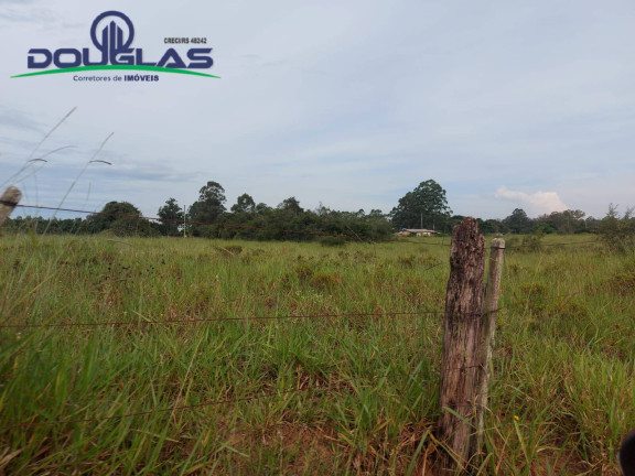 Imagem Chácara à Venda, em Viamão Imagem Chácara à Venda, em Viamão
