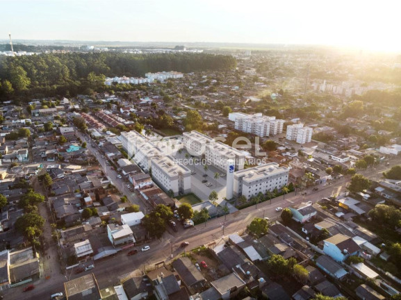 Imagem Apartamento com 2 Quartos à Venda, 41 m² em Olímpica - Esteio
