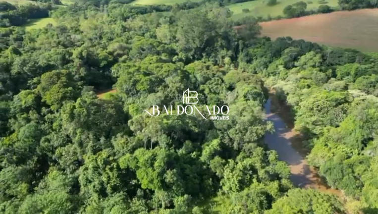 Imagem Terreno à Venda, 32.800 m² em Centro - Vargem Imagem Terreno à Venda, 32.800 m² em Centro - Vargem