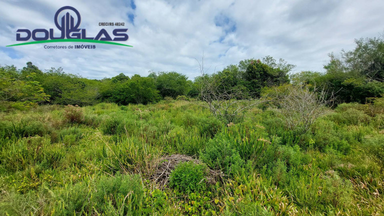 Imagem Chácara à Venda, 20.000 m² em águas Claras - Viamão Imagem Chácara à Venda, 20.000 m² em águas Claras - Viamão