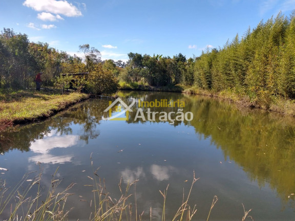 Imagem Imóvel com 2 Quartos à Venda, 33.000 m² em Ipelândia - Suzano