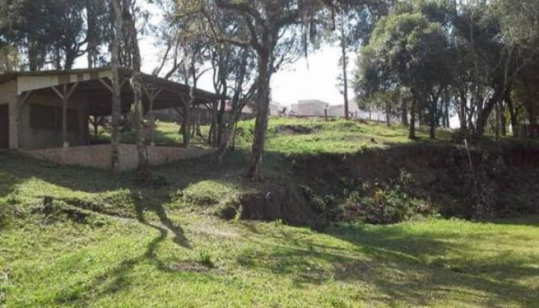 Imagem Chácara à Venda, 8.291 m² em Rio Da Várzea - Quitandinha Imagem Chácara à Venda, 8.291 m² em Rio Da Várzea - Quitandinha