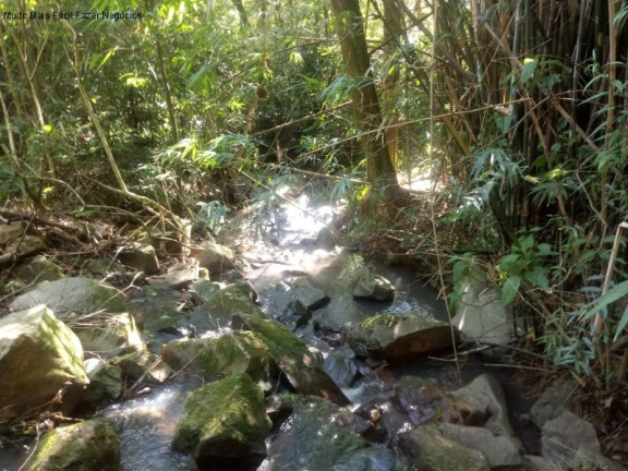 Terreno à Venda, 2 m² em Linha Temerária - Nova Petrópolis