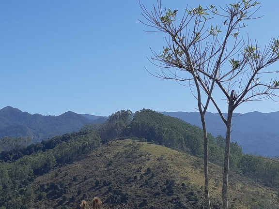 Imagem Imóvel à Venda,  em Centro - Lorena