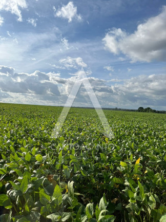 Imagem Imóvel à Venda, 162 m² em Zona Rural - Tapurah Imagem Imóvel à Venda, 162 m² em Zona Rural - Tapurah