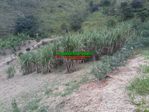 Imagem Chácara à Venda, 2 m² em área Rural De São José Dos Campos - São José Dos Campos Imagem Chácara à Venda, 2 m² em área Rural De São José Dos Campos - São José Dos Campos