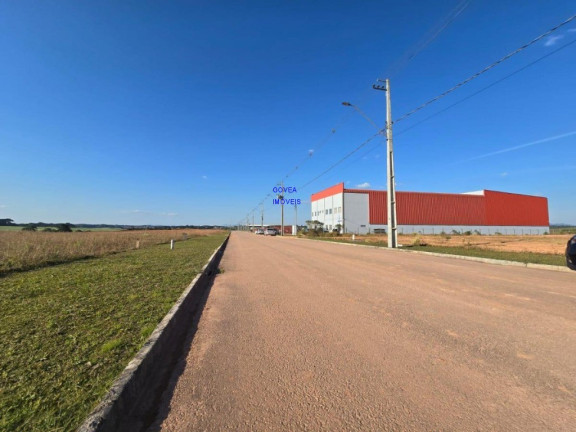 Terreno à Venda, 3.534 m² em Eucaliptos - Fazenda Rio Grande
