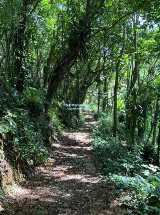 Imagem Terreno à Venda, 33.490 m² em Ponta Grossa - Ubatuba Imagem Terreno à Venda, 33.490 m² em Ponta Grossa - Ubatuba