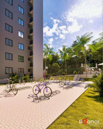 Imagem Apartamento com 2 Quartos à Venda, 56 m² em Escola Agrícola - Blumenau Imagem Apartamento com 2 Quartos à Venda, 56 m² em Escola Agrícola - Blumenau