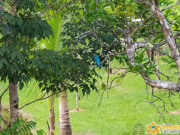 Imagem Terreno à Venda, 315 m² em Horto Florestal - Ubatuba Imagem Terreno à Venda, 315 m² em Horto Florestal - Ubatuba