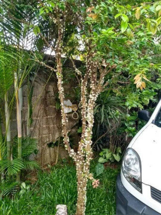 Imagem Sobrado com 3 Quartos à Venda, 160 m² em Jardim Santa Júlia - Itapecerica Da Serra