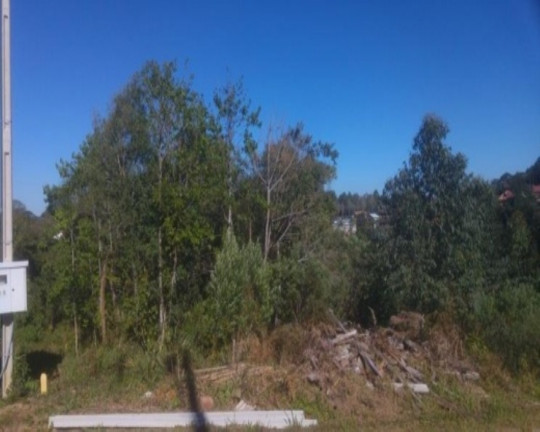 Terreno à Venda, 390 m² em Recanto Dos Platanos - Nova Petrópolis