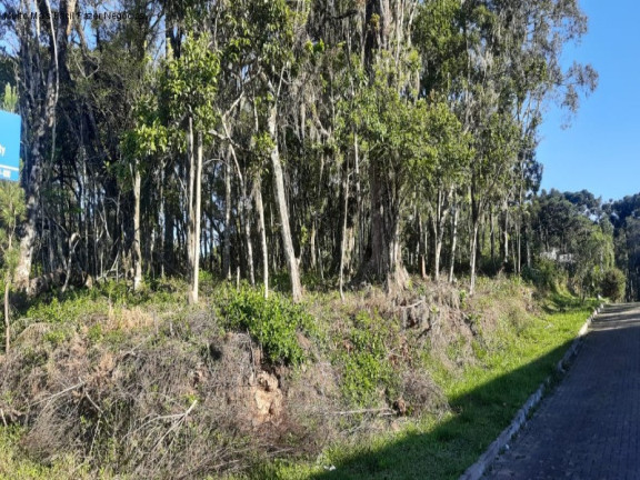 Imagem Terreno à Venda, 848 m² em Vila Germânia - Nova Petrópolis Imagem Terreno à Venda, 848 m² em Vila Germânia - Nova Petrópolis