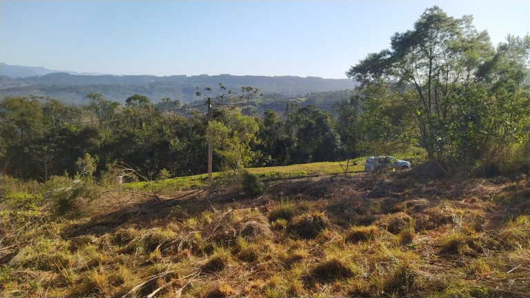 Imagem Terreno à Venda, 360 m² em Centro - Siderópolis