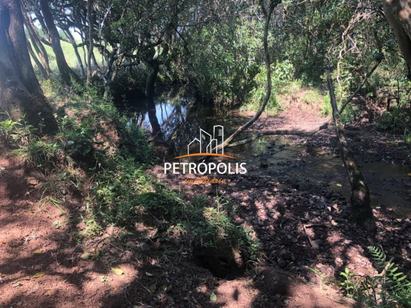 Imagem Terreno à Venda, 20.000 m² em área Rural De Caxias Do Sul - Caxias Do Sul