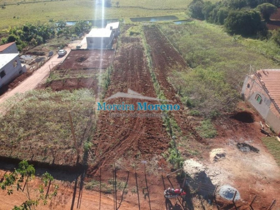 Imagem Imóvel com 1 Quarto à Venda, 1.000 m² em Zona Rural - Borda Da Mata