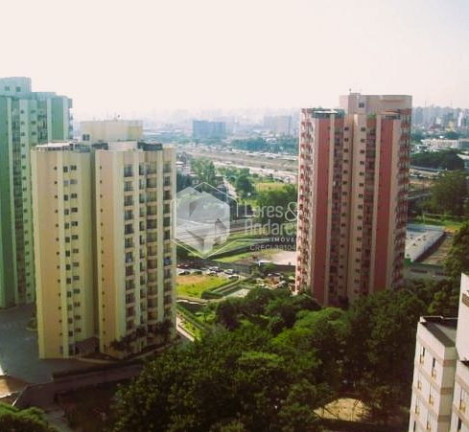 Imagem Apartamento com 2 Quartos à Venda, 49 m² em Jardim íris - São Paulo Imagem Apartamento com 2 Quartos à Venda, 49 m² em Jardim íris - São Paulo
