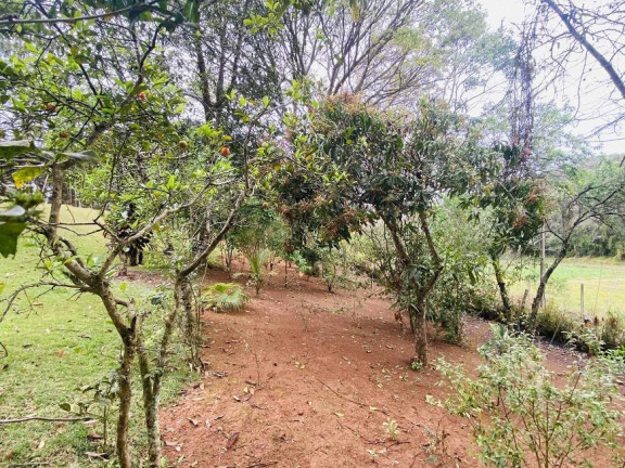 Imagem Imóvel com 5 Quartos à Venda, 1.000 m² em Centro - Ibiúna Imagem Imóvel com 5 Quartos à Venda, 1.000 m² em Centro - Ibiúna