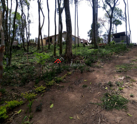 Imagem Terreno à Venda, 2.000 m² em Depois Do Centro - Ibiúna Imagem Terreno à Venda, 2.000 m² em Depois Do Centro - Ibiúna