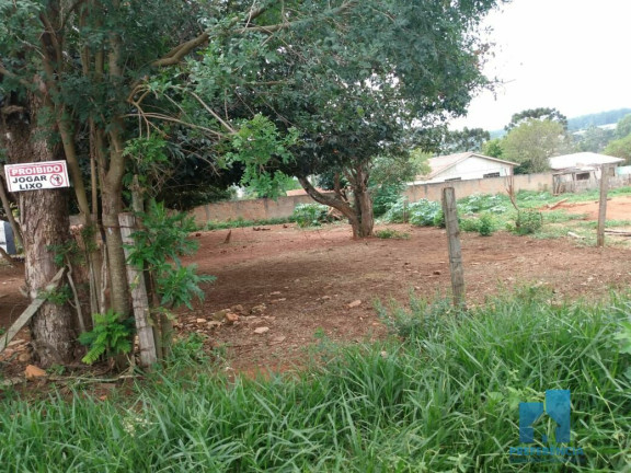 Terreno à Venda, 376 m² em Uvaranas - Ponta Grossa