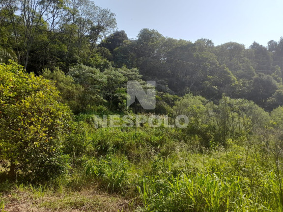 Imagem Fazenda à Venda, 130 m² em Interior - Chapeco