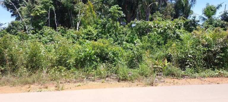 Imagem Chácara à Venda, 1.500 m² em Centro - Iranduba Imagem Chácara à Venda, 1.500 m² em Centro - Iranduba