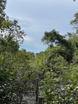 Imagem Imóvel à Venda,  em São Félix Do Tocantins/to - São Félix Do Tocantins